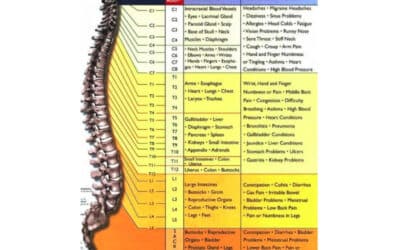 10 Things Most People Don’t Know About Chiropractic