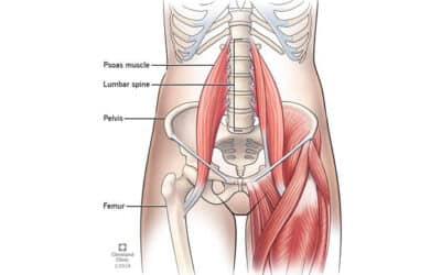 Lower Back Pain and Hip Flexor Involvement